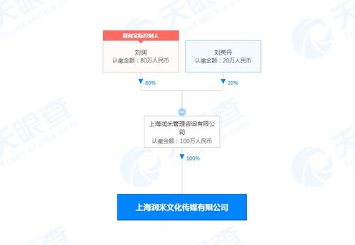 潤米咨詢戰(zhàn)略布局新篇章 設立文化傳媒公司，注冊資本100萬，深化社會經濟咨詢服務生態(tài)